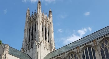 Beautiful cathedral that offers tours.
