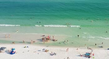 Panorama aerial view Destin beaches with crowded beach umbrella, people swimming relaxing on sugar-white sand beaches, turquoise water, gorgeous shade blue waves in South Walton, Florida, USA