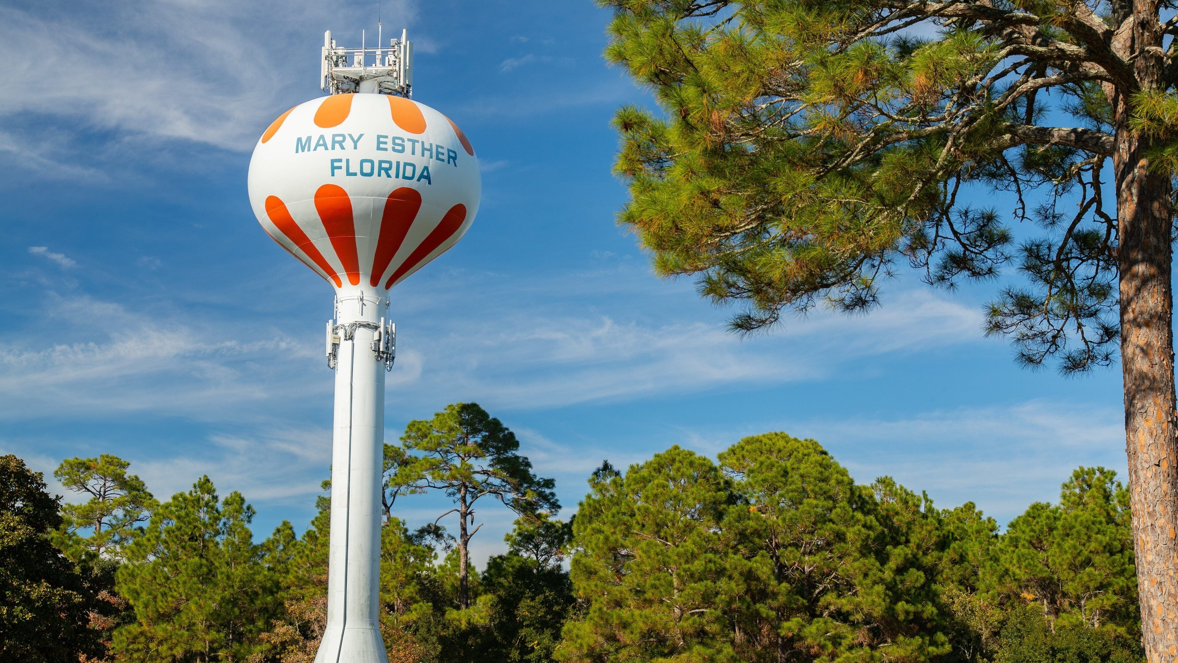 A tall white tower with a spherical top labeled "Mary Esther Florida" amidst a forest of pine trees.