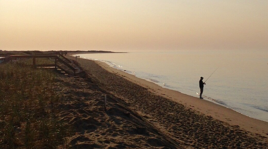 Early morning light
#beachbound #capecod #lifeatexpedia