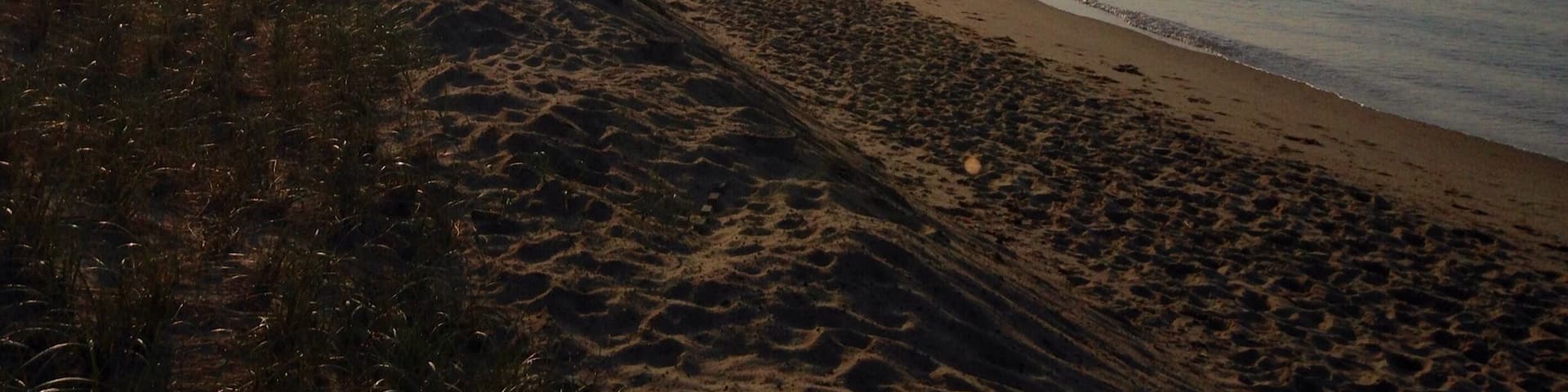 Morning light. The lone fisherman