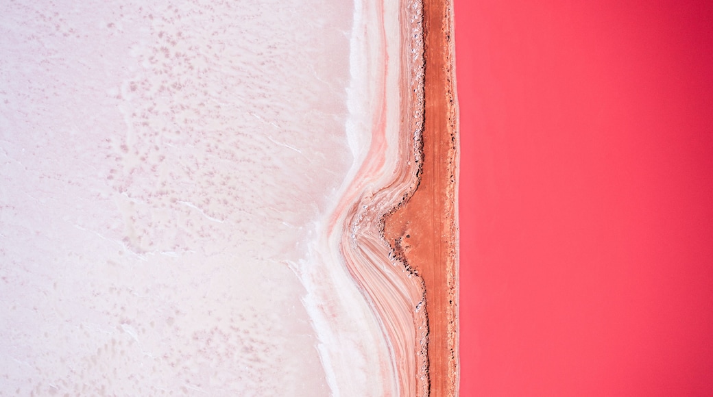 Abstract aerial, Hutt lagoon pink lake, Western Australia, Australia