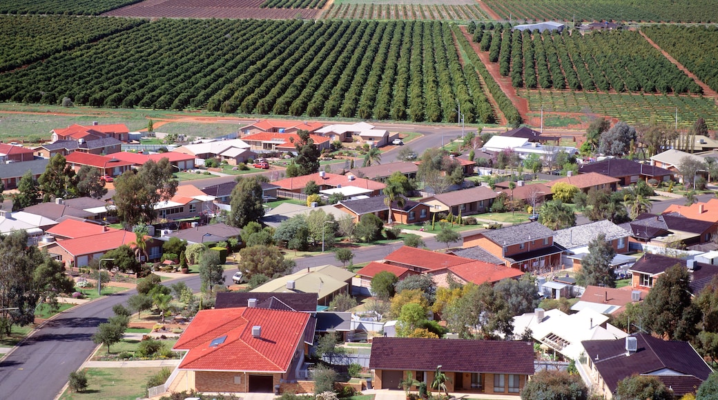 Fruit orchards near the New South Wales town of Griffith.