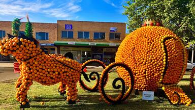 Orange sculptures spring festival Griffith hu