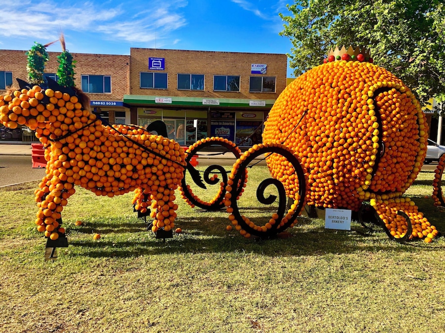 Orange sculptures spring festival Griffith hu