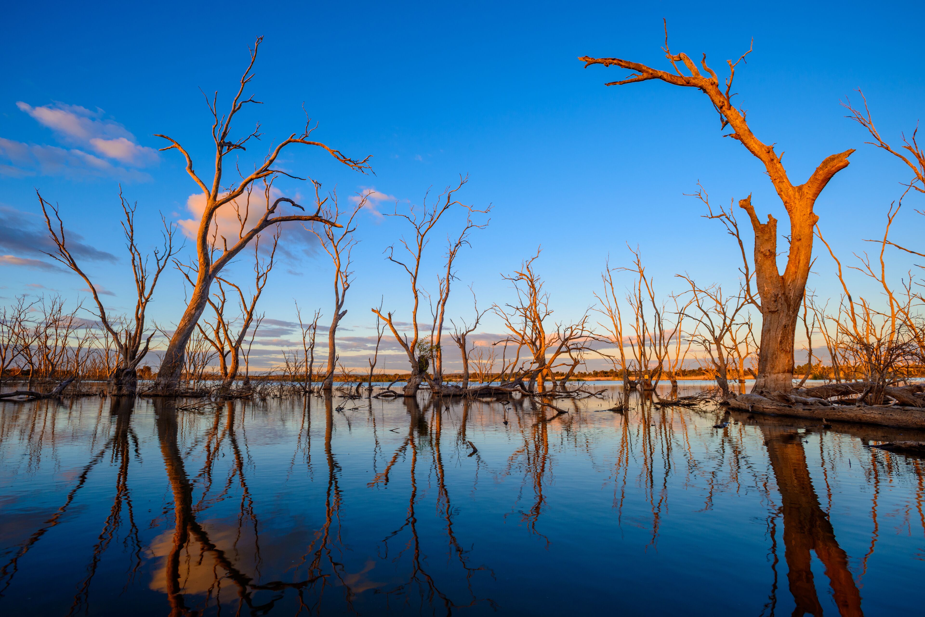 Last Gleams of Sunlight, Griffith, Australia