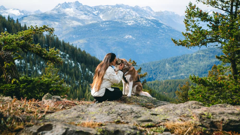 A woman and a dog on a rocky outcrop with a mountain range in the background.