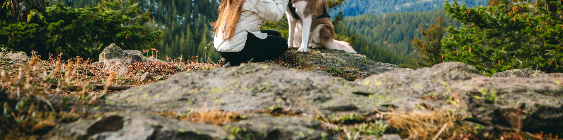 A woman and a dog on a rocky outcrop with a mountain range in the background.