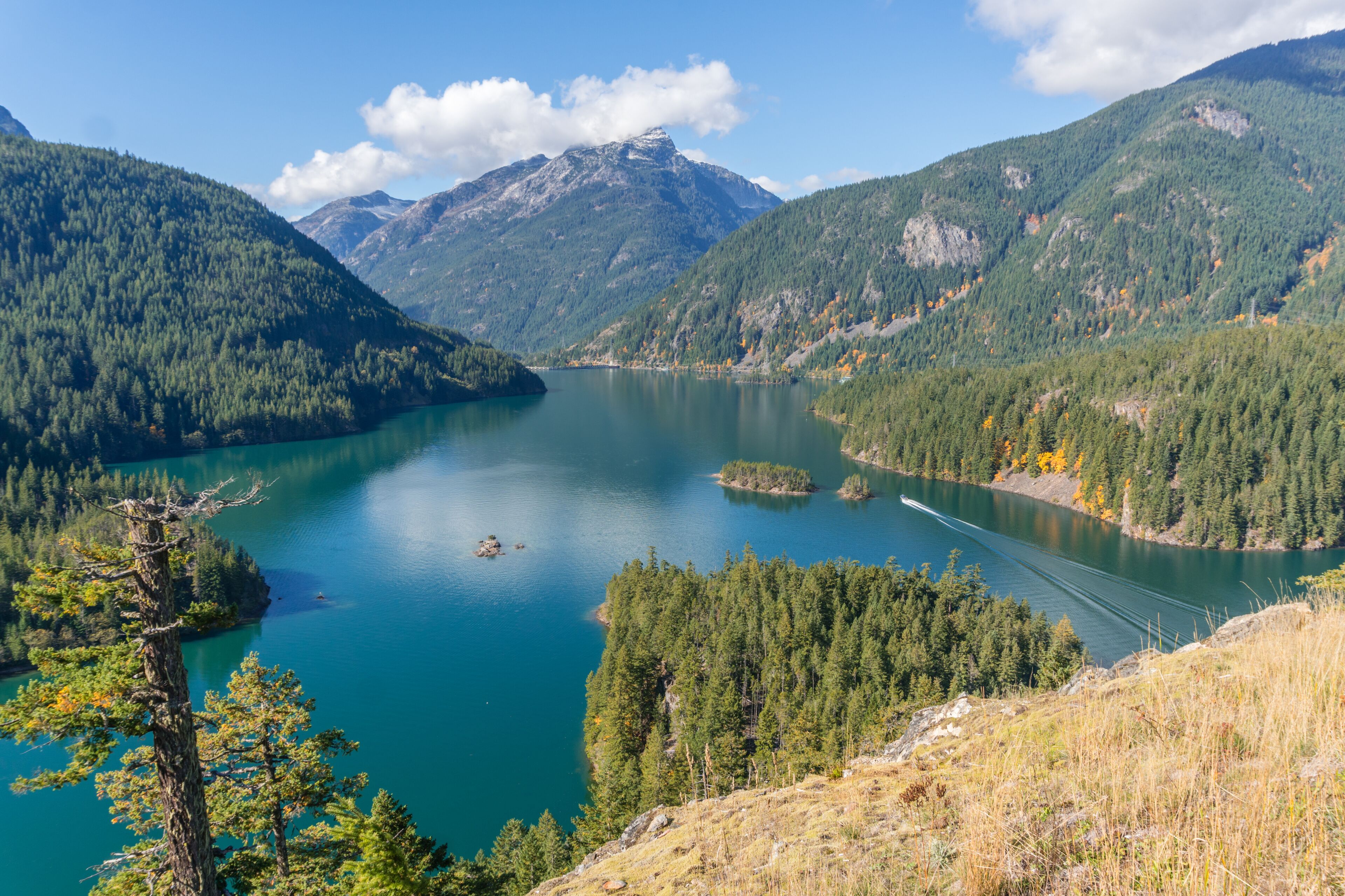 Mazama