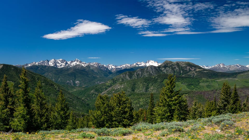 North Cascade Mountain Range