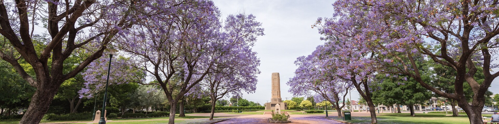 Un sendero bordeado por árboles de flores moradas que conduce a un monumento central.