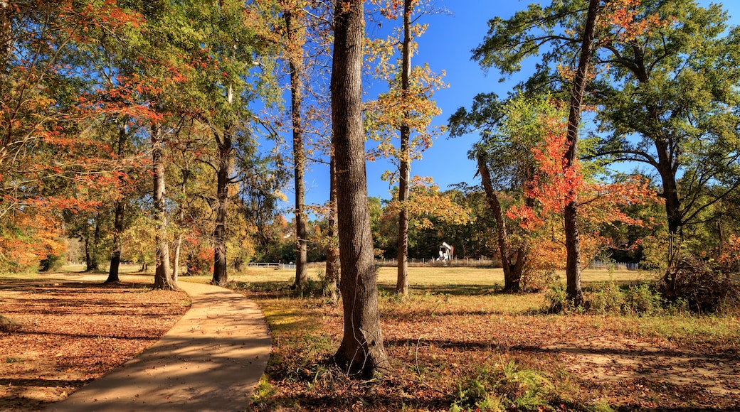 Autumn Path In An East Texas Park with an oil derrick in the distance