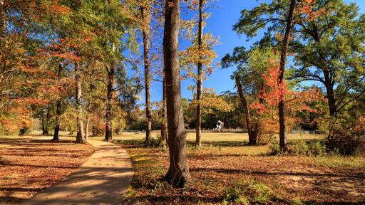 Autumn Path In An East Texas Park with an oil derrick in the distance