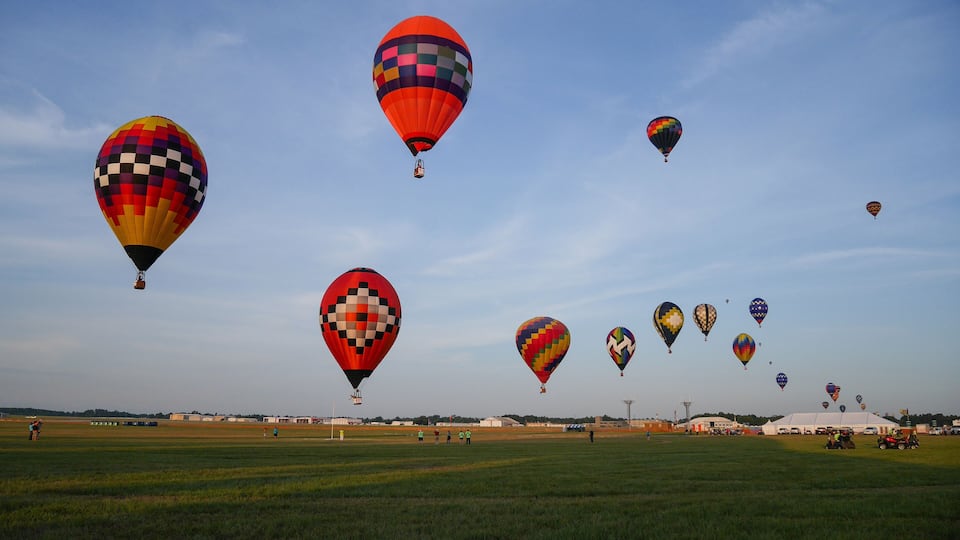 A field with multiple hot air balloons in various patterns.