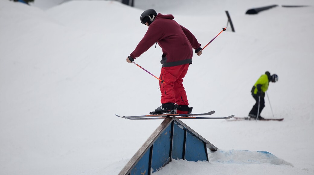 Snow Skiers at the Wisp Ski Resort in McHenry, Maryland Completing Skill Maneuvers during the Maryland Open Freestyle Ski Competition.