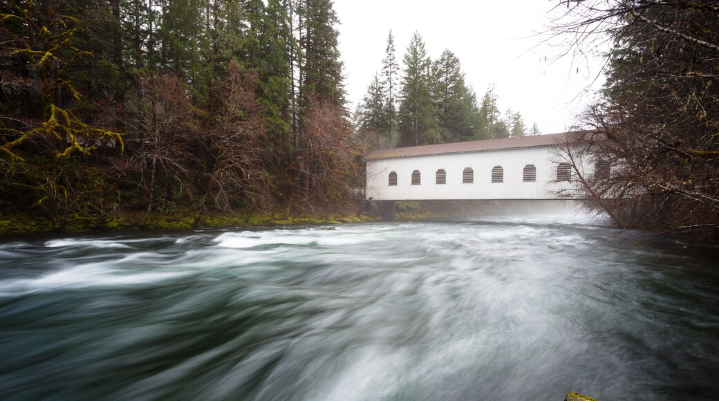 Historic Belknap Bridge McKenzie River