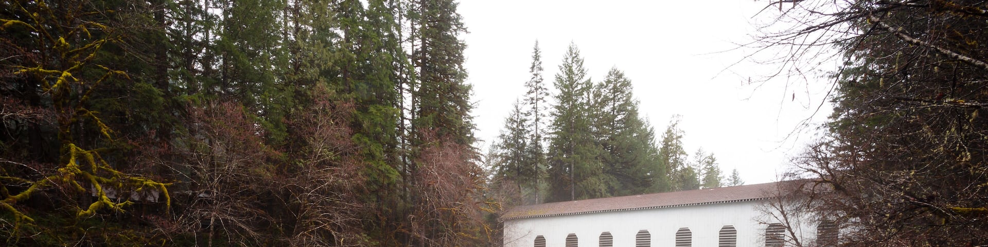 Historic Belknap Bridge McKenzie River