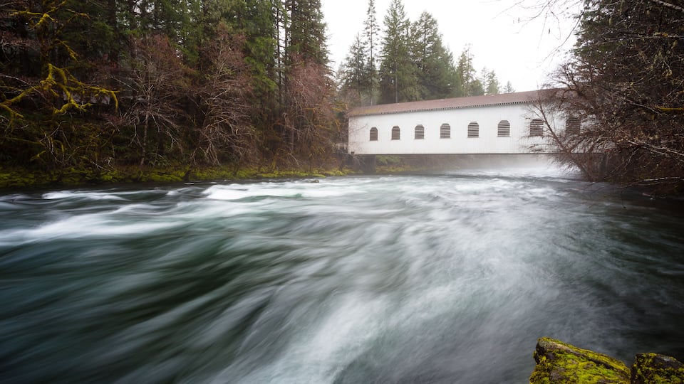 A river flowing through a forest with a white building in the background.
