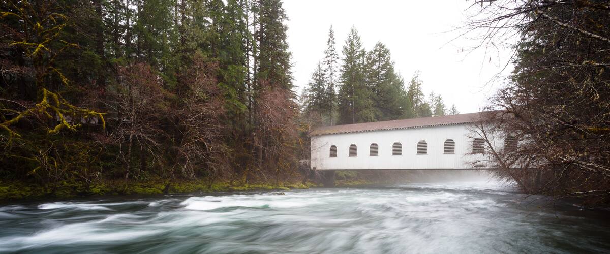 A river flowing through a forest with a white building in the background.
