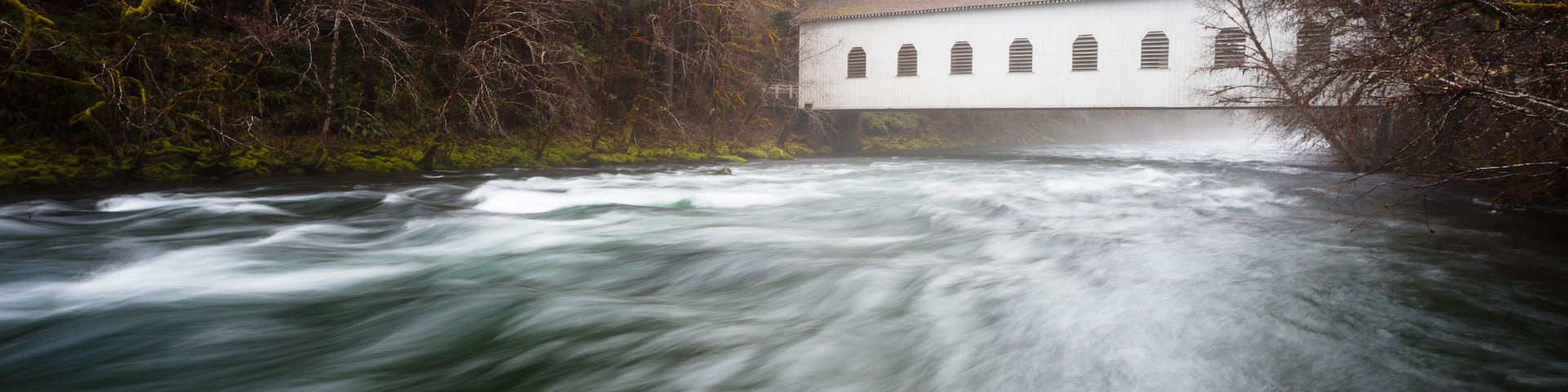 A river flowing through a forest with a white building in the background.