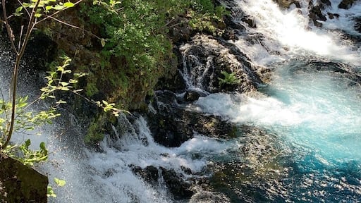 Tamolitch Falls (Blue Pool) fairly easy hike of approximately 4 miles round trip with slight elevation.
#Nature
