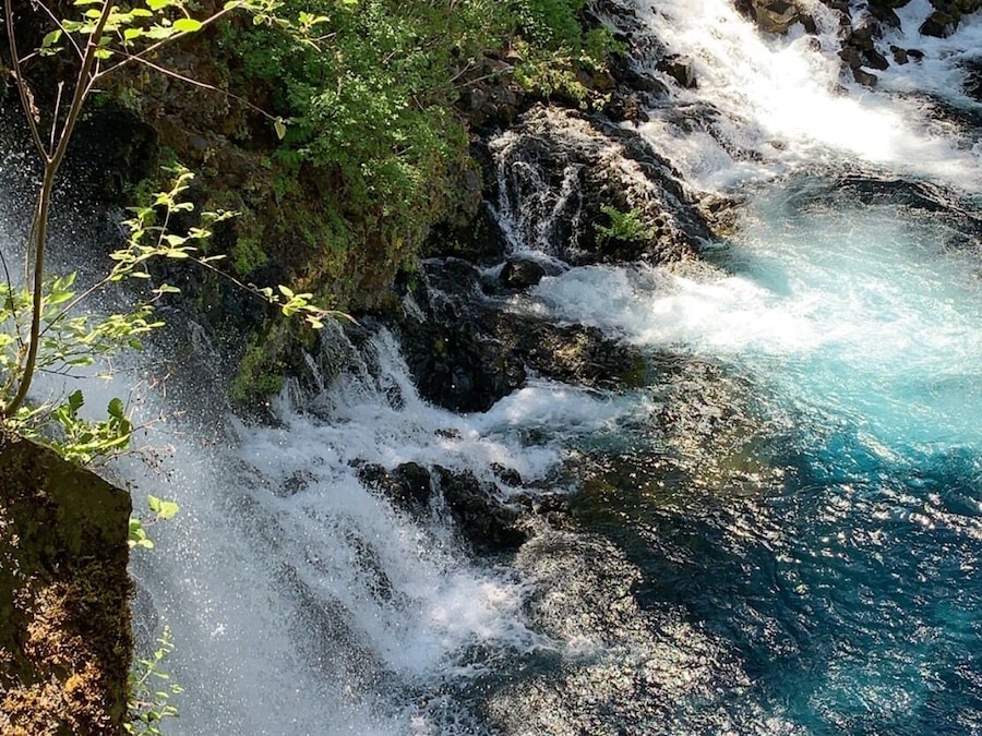 Tamolitch Falls (Blue Pool) fairly easy hike of approximately 4 miles round trip with slight elevation.
#Nature