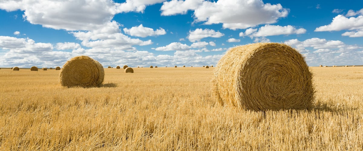 Big Sky, Valley near Glasgow, Montana, USA