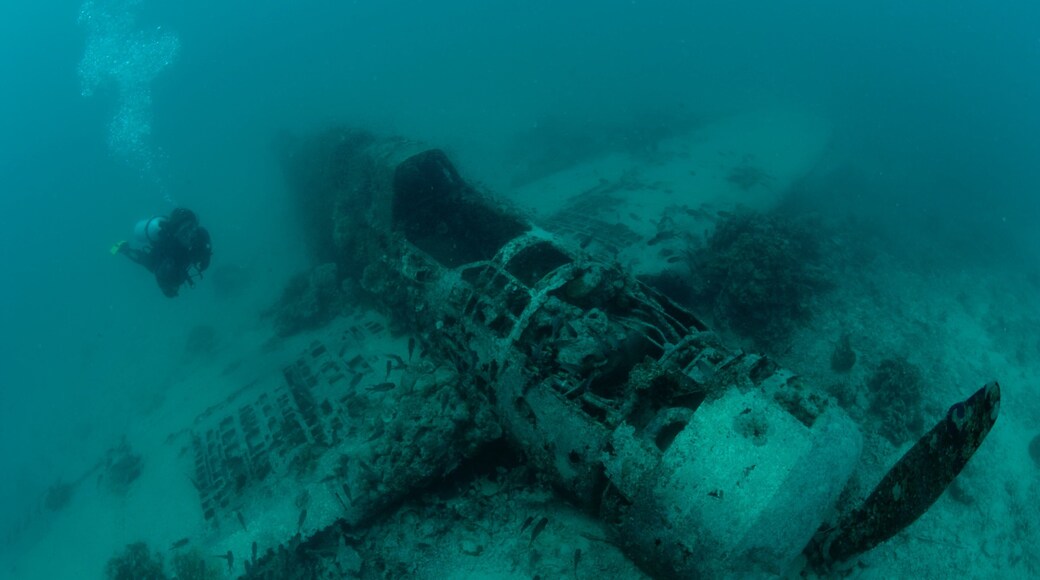 Papúa-Nueva Guinea ofreciendo buceo y ruinas de un edificio y también un hombre