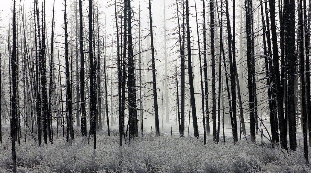 Cold Day but worth the ride!