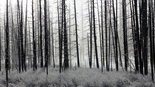 Cold Day but worth the ride!