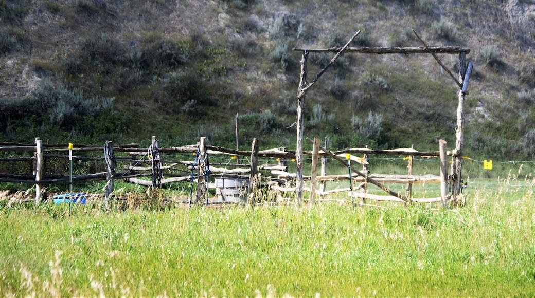 The stables a part of the Chateau de Mores farmland