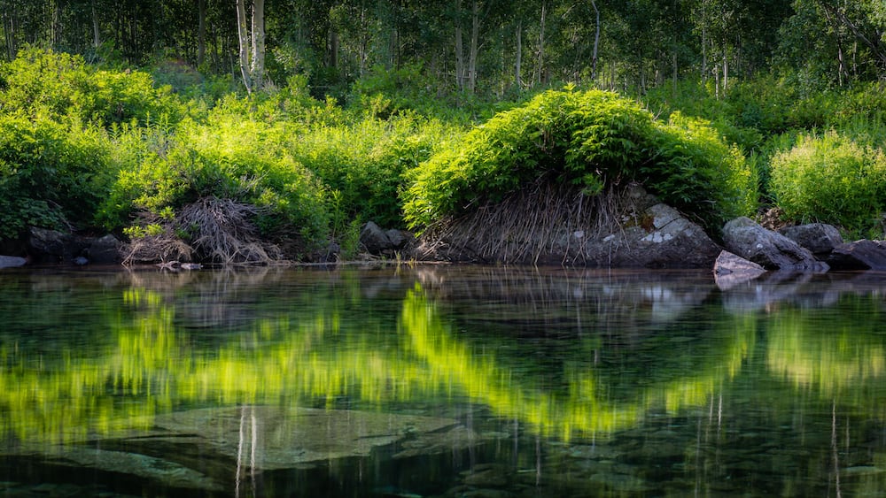 Ein ruhiger Fluss mit klaren Spiegelungen, umgeben von dichtem Grün und Felsen.