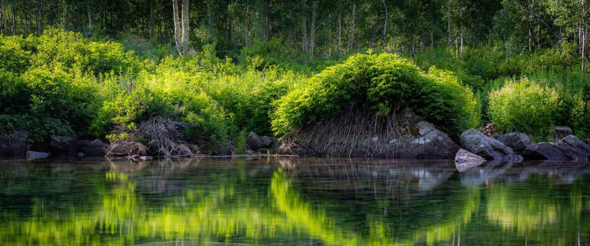A calm river with clear reflections, surrounded by dense green foliage and rocks.