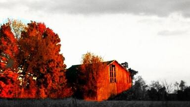 Fall colors in St. Joseph County, Pure Michigan.
#Fall #Autumn #Michigan #PureMichigan #FallColor #FallColorTour #abandoned