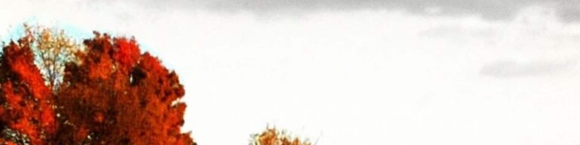 Fall colors in St. Joseph County, Pure Michigan.
#Fall #Autumn #Michigan #PureMichigan #FallColor #FallColorTour #abandoned