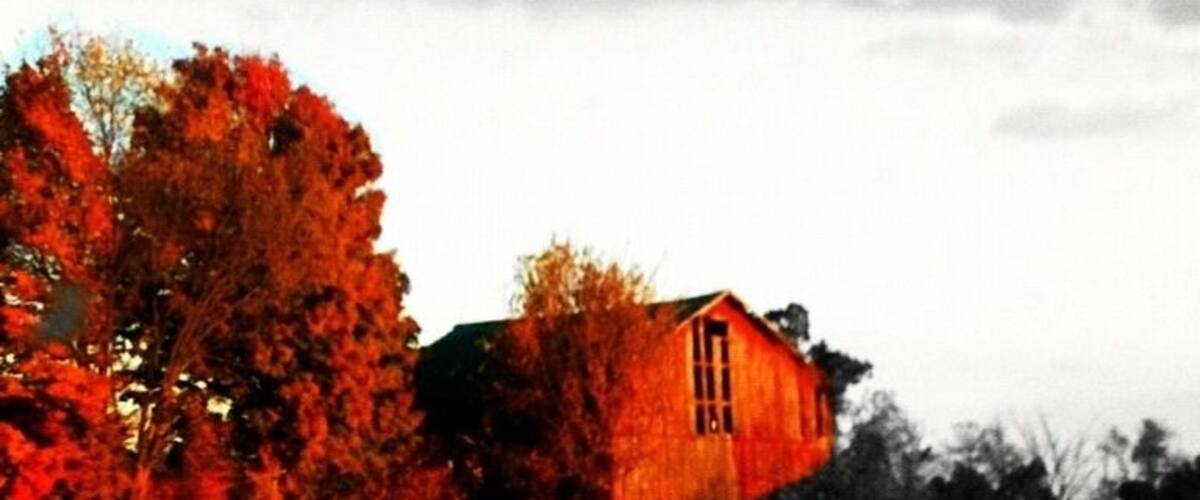 A house with a red roof, surrounded by trees with autumn foliage.