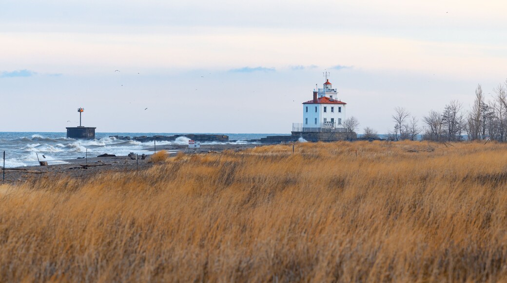 Eine Küstenlandschaft mit einem Leuchtturm, Wellen, die gegen einen Wellenbrecher schlagen, und einem Feld mit hohem Gras.