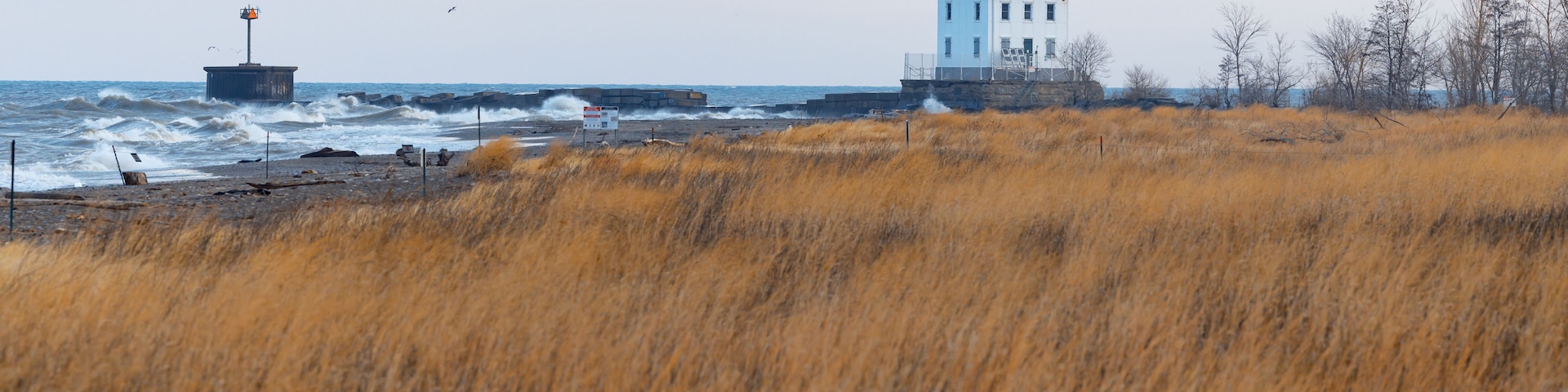 A coastal landscape with a lighthouse, waves crashing against a breakwater, and a field of tall grass.