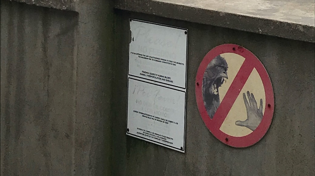 Cable car up to the top of the Rock of Gibraltar and walk back down through the Apes Den. The sign is a little OTT!