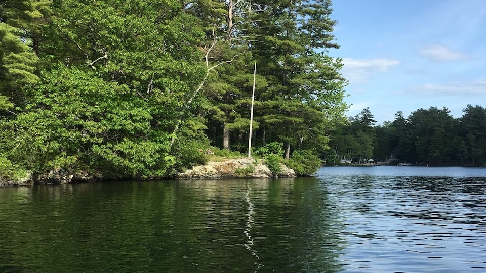 A calm lake surrounded by dense green trees and a clear blue sky with scattered clouds.