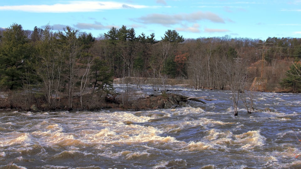 A turbulent river surrounded by dense forest and a cloudy sky.