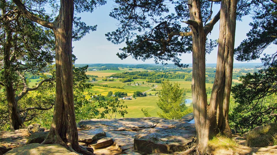 A rocky landscape with large trees and a view of a green valley.