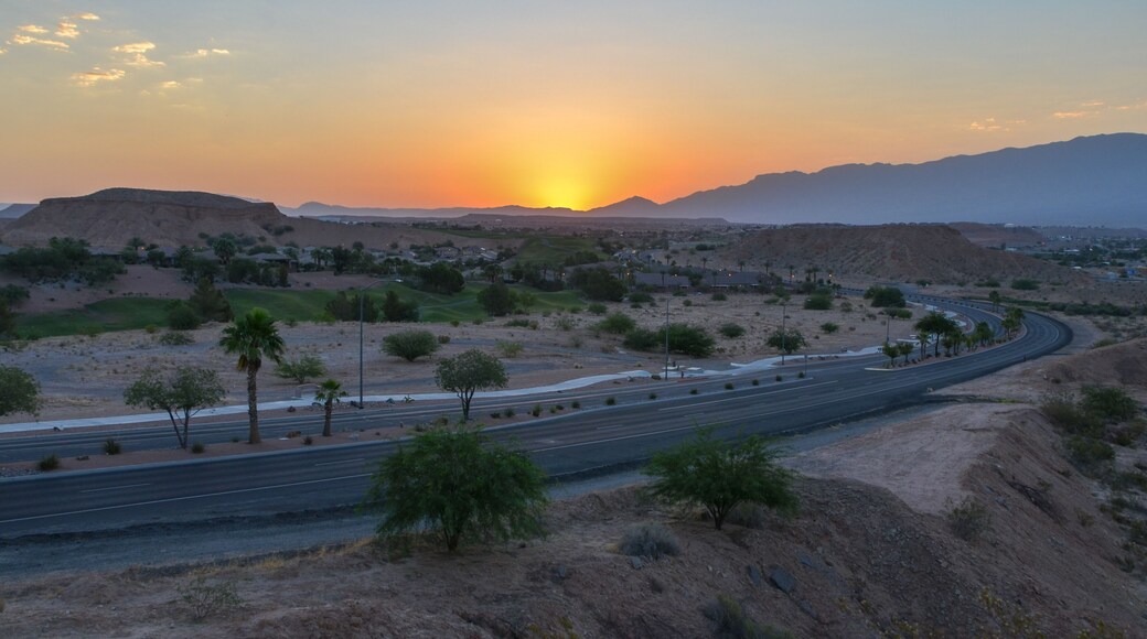 Mesquite