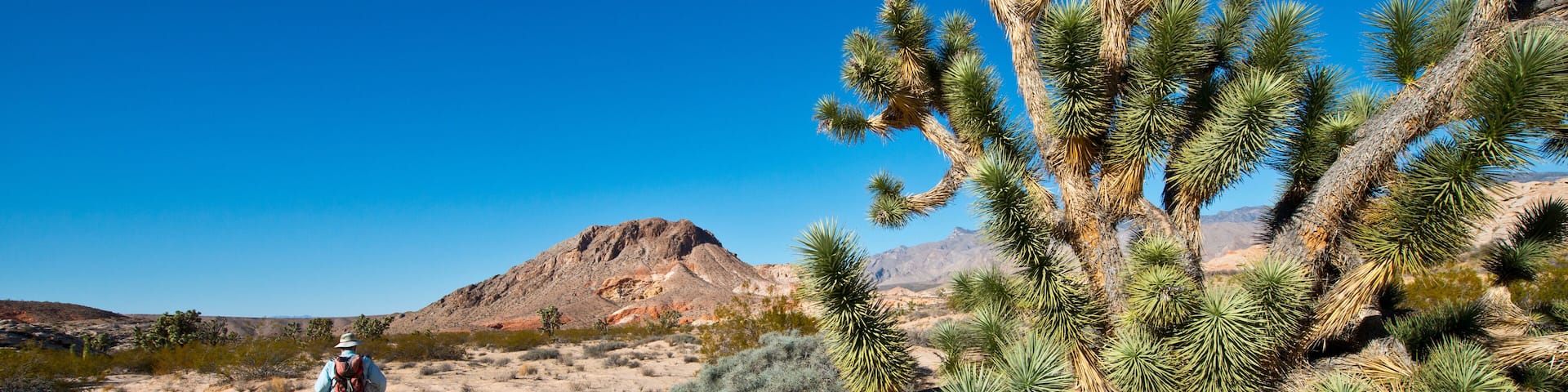 USA, Nevada, Mesquite. Gold Butte National Monument, Black Butte and hiker on the trail to Kohta Circus.