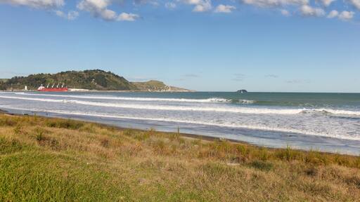 Gisborne
