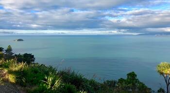 The view from the top of Kaiti Hill just last the lookout. Beautiful.
