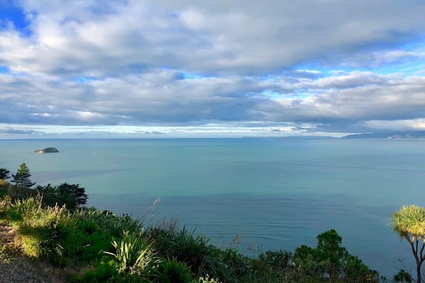 The view from the top of Kaiti Hill just last the lookout. Beautiful.