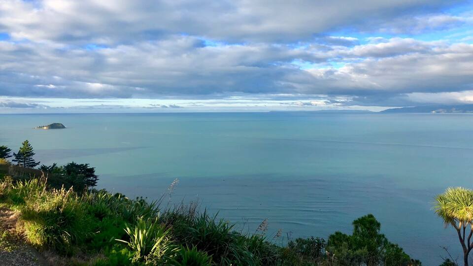The view from the top of Kaiti Hill just last the lookout. Beautiful.