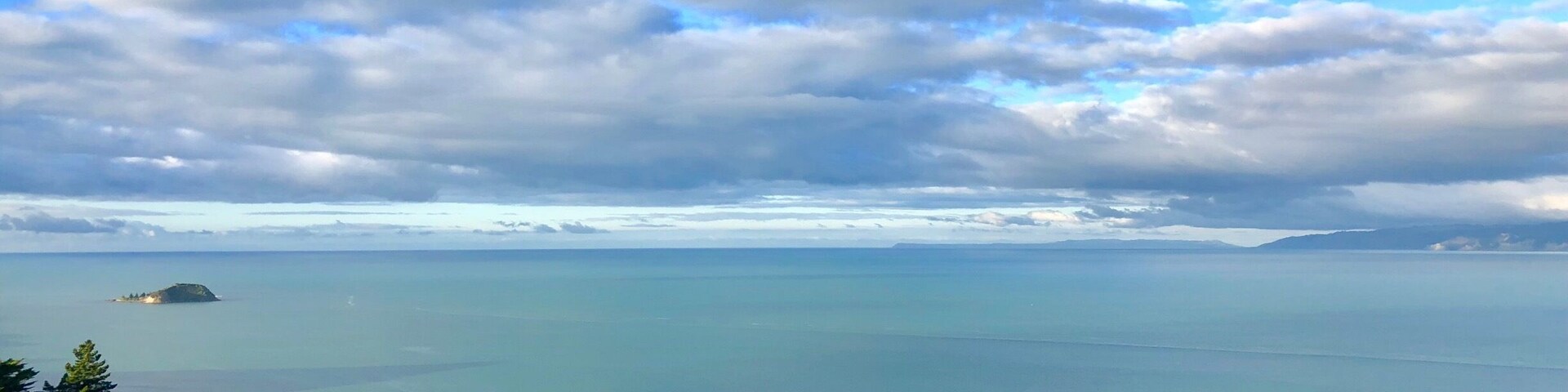 The view from the top of Kaiti Hill just last the lookout. Beautiful.