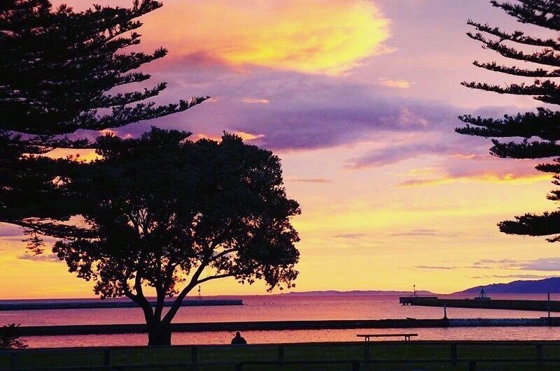 #Springfun Gisbourne has amazing Sunsets 